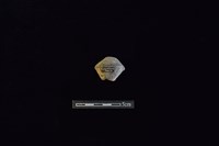 藏品(陶紡輪)的圖片